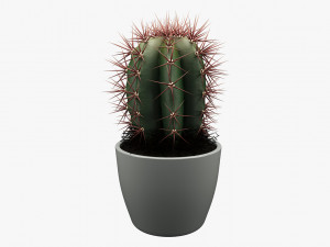 realistic potted plant 004 3D Model