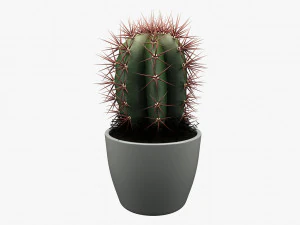 यथार्थवादी गमले में लगा पौधा 004 3D मॉडल