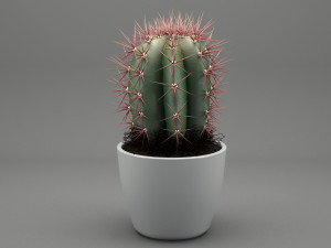 realistic potted plant 004 3D मॉडल