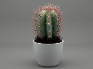 realistic potted plant 004 3D Model