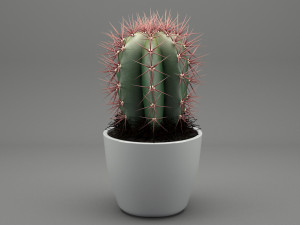 realistic potted plant 004 3D मॉडल