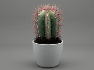 realistic potted plant 004 3D Model