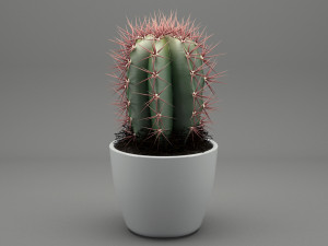 realistic potted plant 004 3D मॉडल