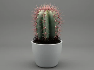 realistic potted plant 004 3D Model