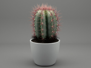 realistic potted plant 004 3D मॉडल