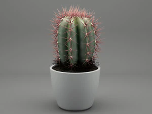 realistic potted plant 004 3D Model