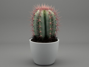realistic potted plant 004 3D मॉडल