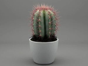 realistic potted plant 004 3D Model