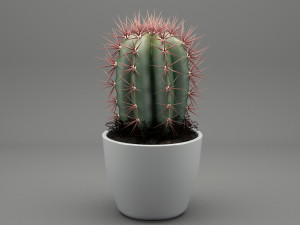 realistic potted plant 004 3D मॉडल