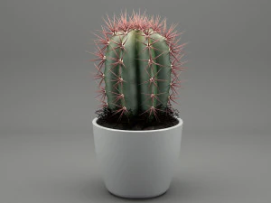 realistic potted plant 004 3D Model
