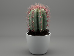 realistic potted plant 004 3D मॉडल