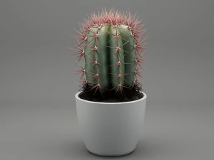 realistic potted plant 004 3D Model