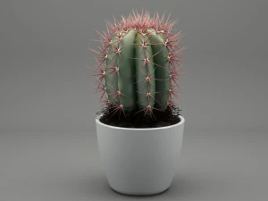 realistic potted plant 004 3D Model
