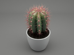 realistic potted plant 004 3D मॉडल