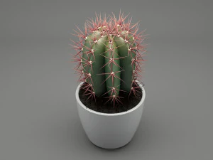 realistic potted plant 004 3D Model