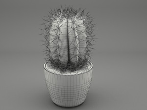 realistic potted plant 004 3D मॉडल