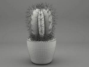 realistic potted plant 004 3D Model