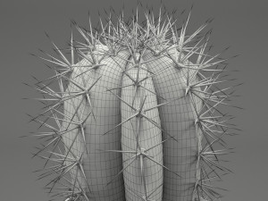realistic potted plant 004 3D मॉडल