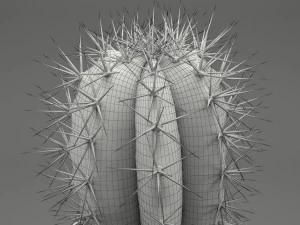 realistic potted plant 004 3D Model