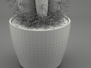 realistic potted plant 004 3D मॉडल