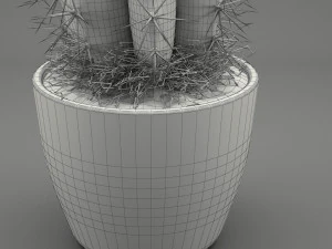 realistic potted plant 004 3D Model