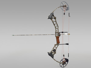 compound bow with arrow Model 3D