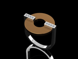 minimal ring 05 Model 3D