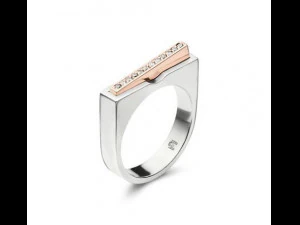 anello minimo 06 Modello 3D