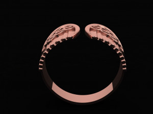 wing ring 03 Modello 3D