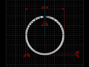 wing ring 03 Modello 3D