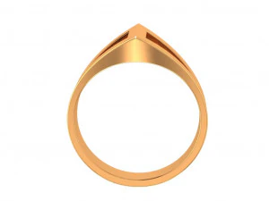 valhalla ring 02 3D Model