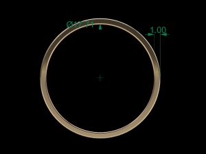 moon band ring 3Dモデル