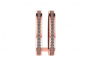 hoops ring 2 hoops 3D Model