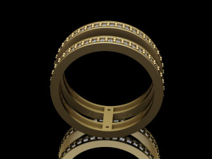 hoops ring 2 hoops 3D Model
