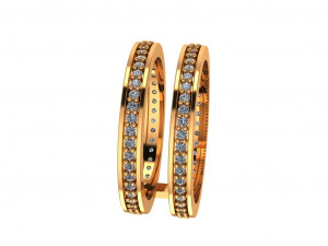 hoops ring 2 hoops 3D Model