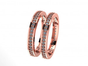 hoops ring 2 hoops 3D Model