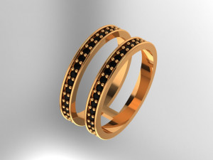 hoops ring 2 hoops Model 3D
