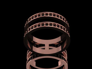 hoops ring 2 hoops 3D Model