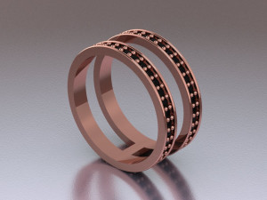 hoops ring 2 hoops Model 3D