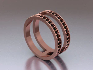 hoops ring 2 hoops 3D Model
