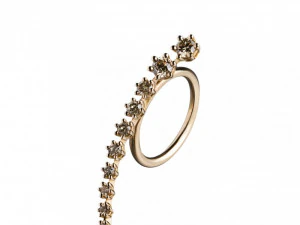 degrade ring 3D Model