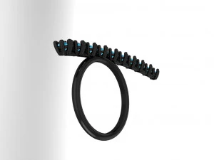 degrade ring 3D Model