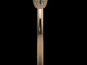 degrade ring 3D Model