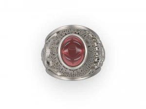 davy jones man signet ring 3D Print Model