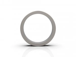 band ring 02 3D Print Model
