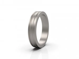 band ring 02 3D Print Model