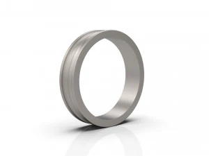 band ring 03 3D Print Model