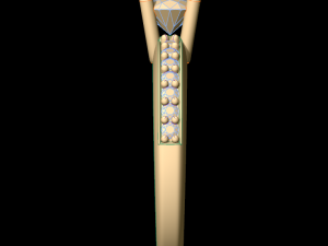 woman wedding solitaire ring 15 3D Print Model