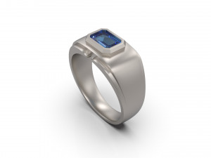 man signet ring 10 3D 프린트 모델