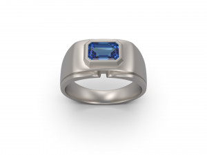 man signet ring 10 3D 프린트 모델